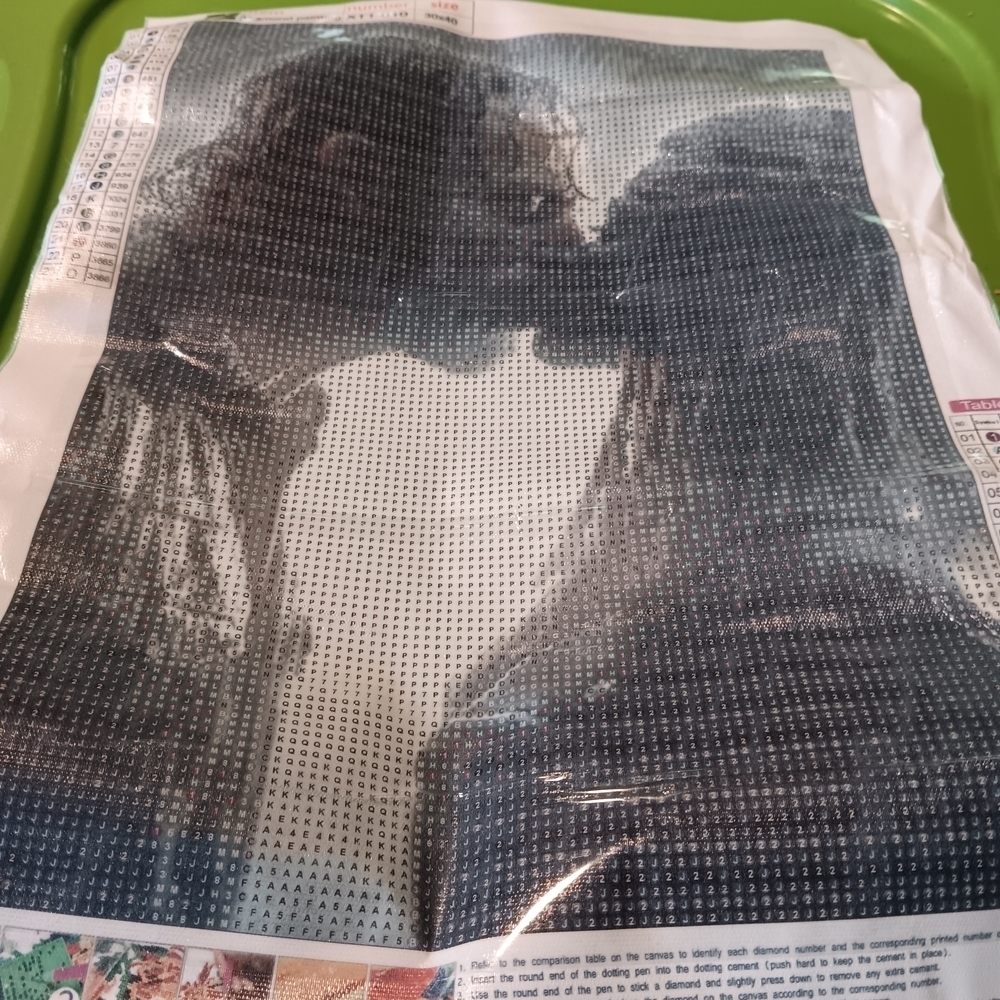 The Walking Dead - Rick And Michonne Diamond Art Painting Kit 30x40